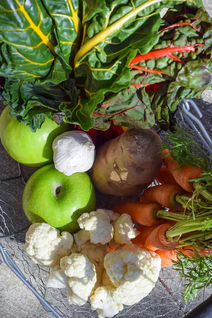 Fresh Fruits and Veggies for Purees